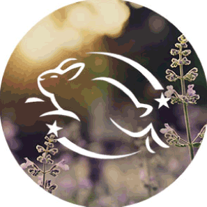 Leaping Bunny certified cruelty-free badge