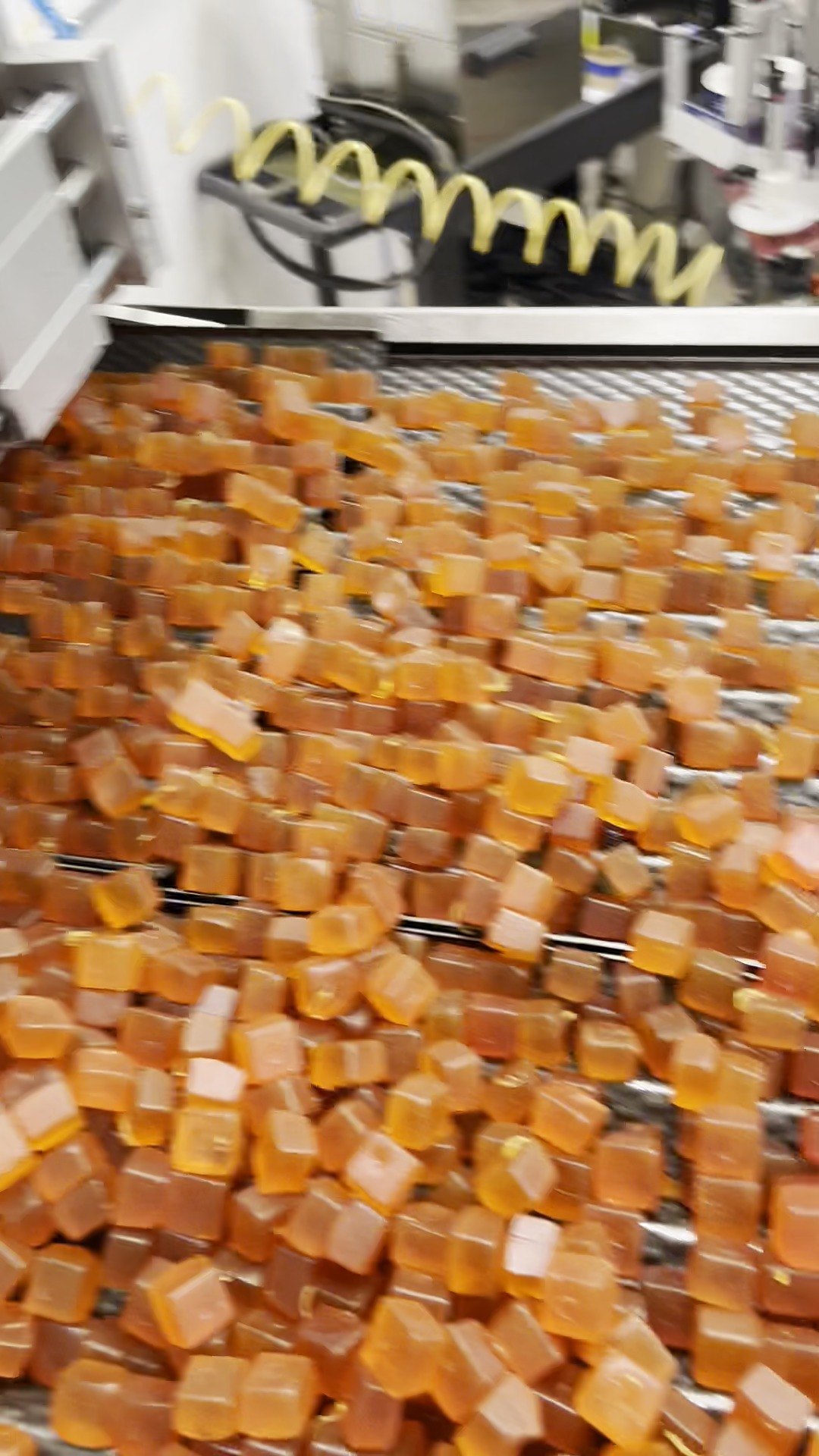 Gummies coming off the line at Chaé Manufacturing